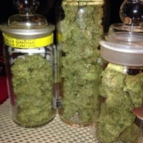 Cannabis & Hashish