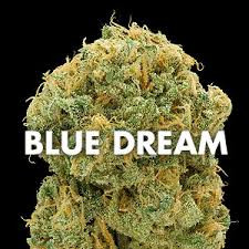 Buy Blue Dream Online