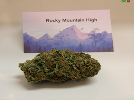 Buy Rocky Mountain-High Kush