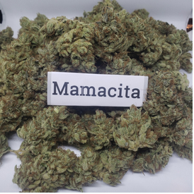 Buy Mamacita Strain Online