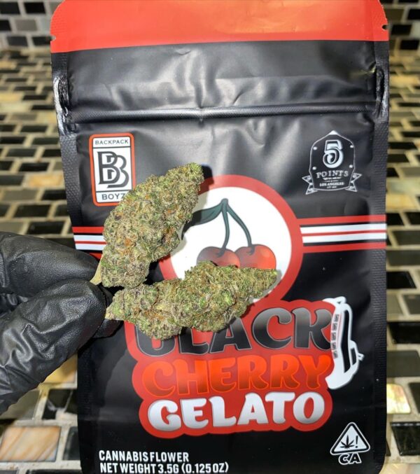 Buy Black Cherry Gelato Online