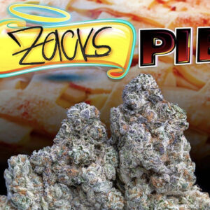 Buy Zacks Pie Jungle boys