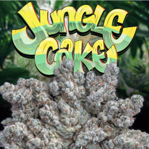 Buy Jungle Cake Jungle Boys