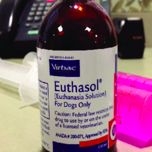 euthasol-injektionslosung-kaufen